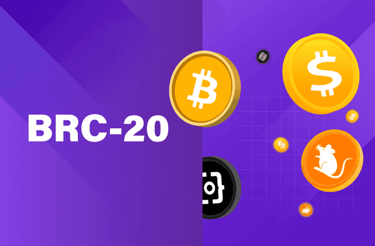 Principales proyectos de Bitcoin BRC20 en 2024: identificación de inversiones de alto potencial