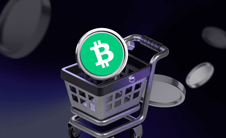 立即使用信用卡或借記卡購買Bitcoin Cash (BCH)