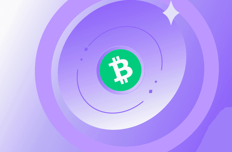 立即出售Bitcoin Cash (BCH)的完整指南：快速出售Bitcoin Cash的方法