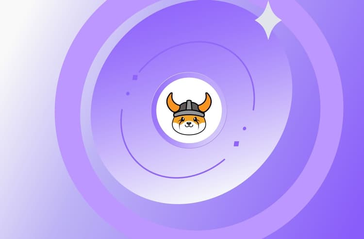 Compre FLOKI (FLOKI) com Cartão de Crédito ou Débito Instantaneamente