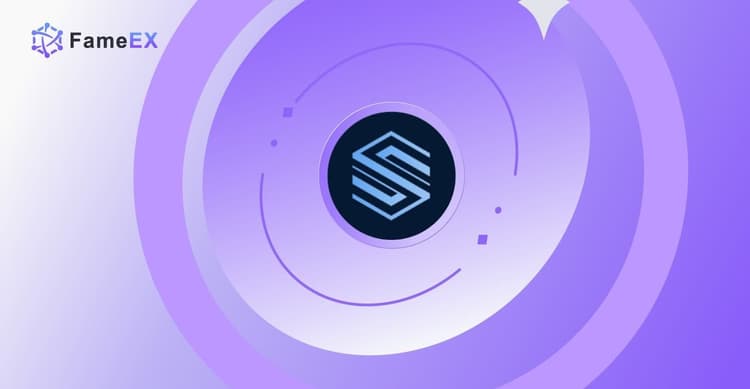 Làm Security Token Offering  (STO)?