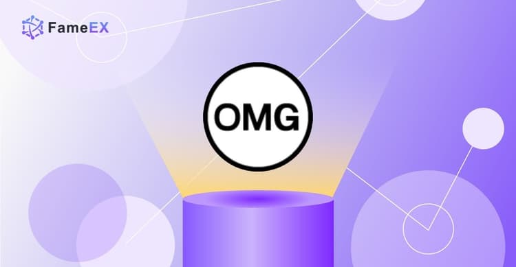 How to Trade OMG Network – Beginner’s Guide & Tips for Buy and Sell OMG