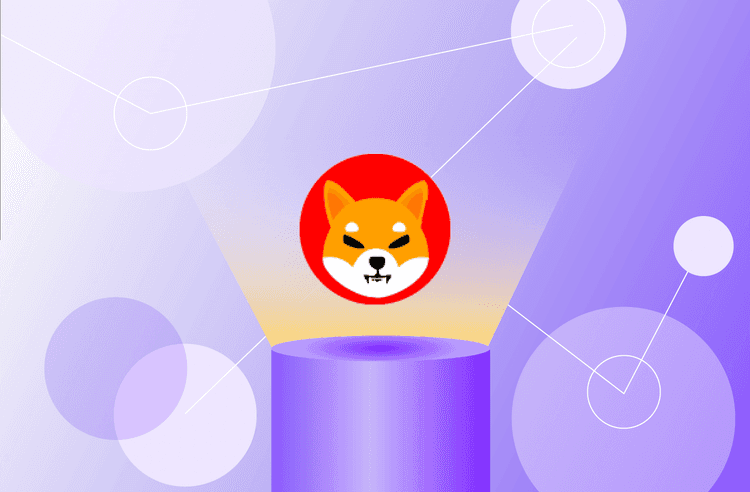 Shiba Inu(SHIB) Vadeli İşlemler Nasıl Yapılır: Yeni Başlayanlar İçin Kapsamlı Bir Rehber