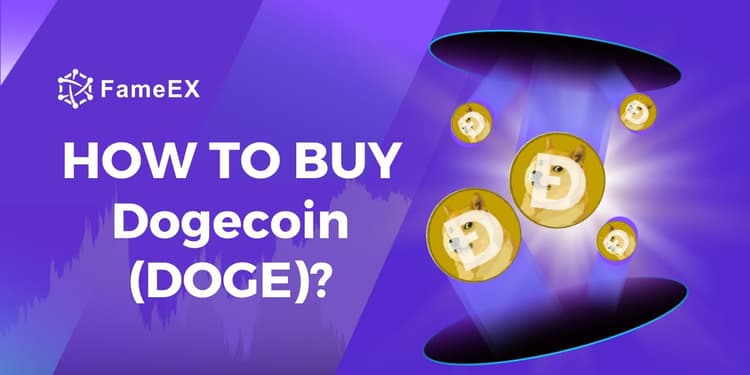 Buy Dogecoin (DOGE) with Credit Card or Debit Card Instantly