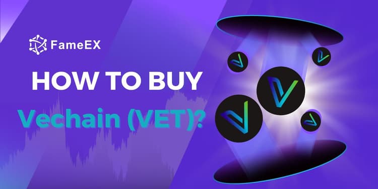 Купите Vechain (VET) мгновенно с помощью кредитной или дебетовой карты