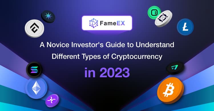 A Novice Investor's Guide to Understand Different Types of Cryptocurrency in 2023